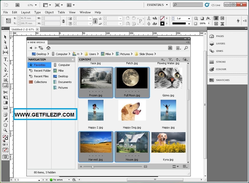 Download Adobe Master Collection CS5 Free