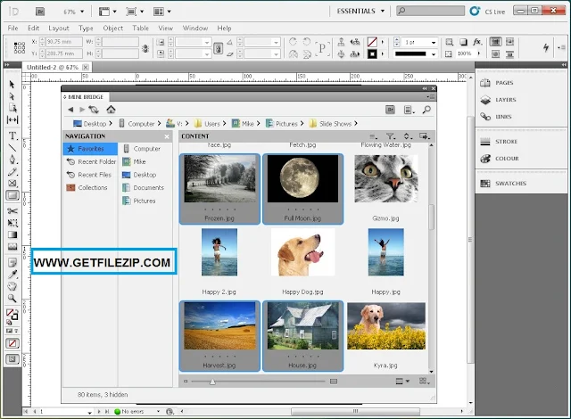 Download Adobe Master Collection CS5