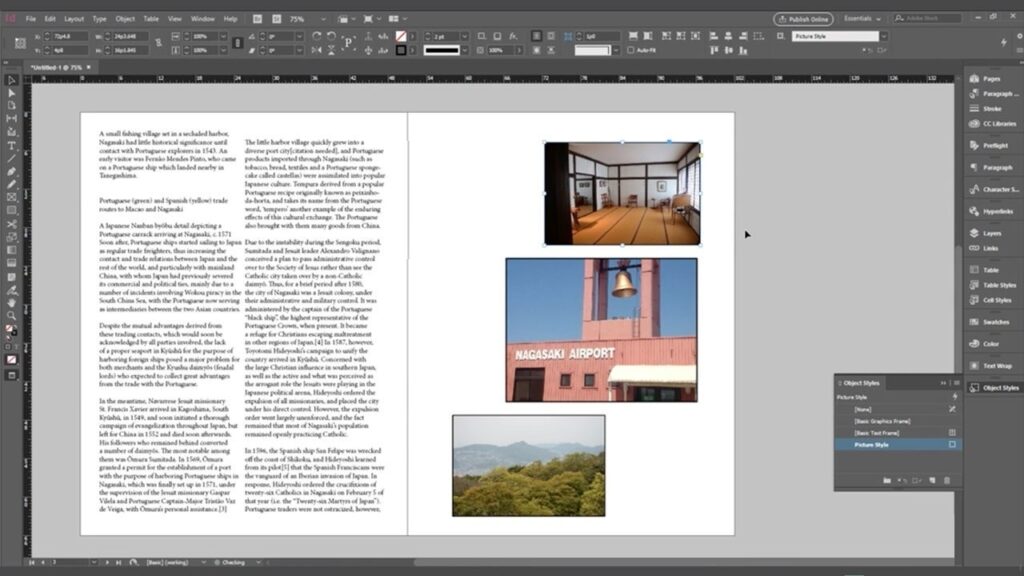 Adobe InDesign CC2020 