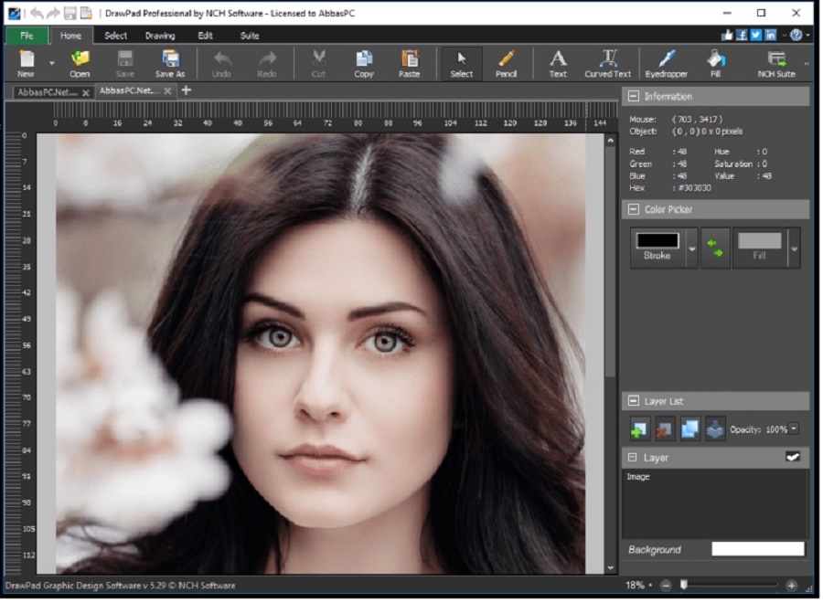 Download NCH DrawPad Pro 6.58 Free Latest Full Version Direct 