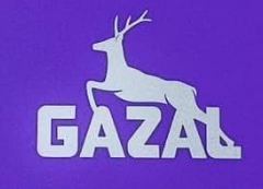 GAZAL 8080 SUPER FOREVER Software Update